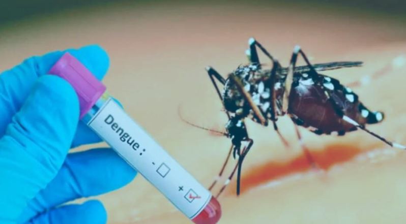 Conozca las condiciones para acceder a la cobertura de la prueba de Dengue