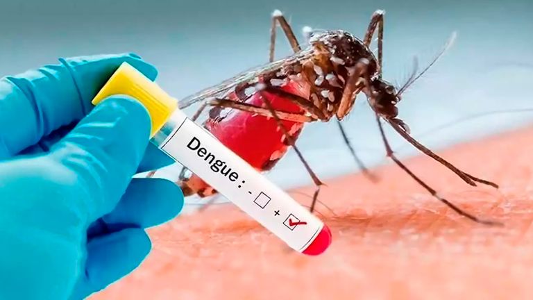El Dengue acecha pero podemos prevenirlo